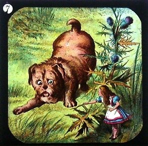 Alice in Wonderland - magic lantern slide